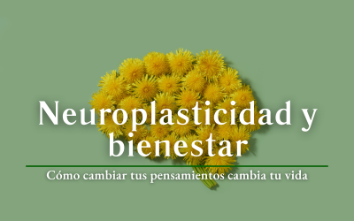 Neuroplasticidad y bienestar: cómo cambiar tus pensamientos cambia tu vida